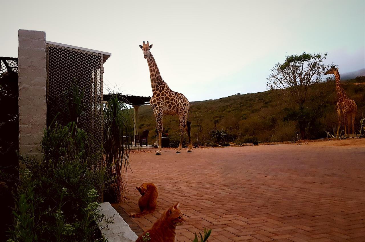Lodge Graceland Eco Retreat Magoebaskloof